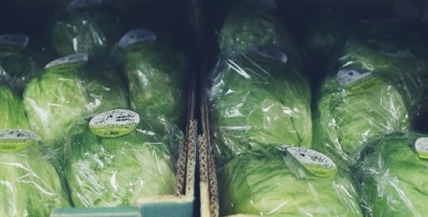 singapores ava malaysian lettuce supermarkets