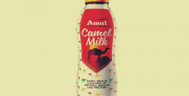 Amul launches Camel Milk bottles in select markets of Gujarat