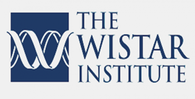 cullinan-oncology-wistar-team-develop-novel-ebna1-inhibitor