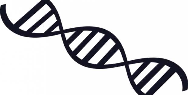 Clearside Biomedical gets FDA acceptance for its NDA filing of XIPERE
