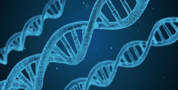 Latest UK Biobank genetic data offered to global health researchers