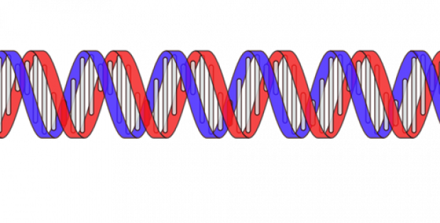 Merck wins Canadian paired CRISPR nickases patent for genome editing
